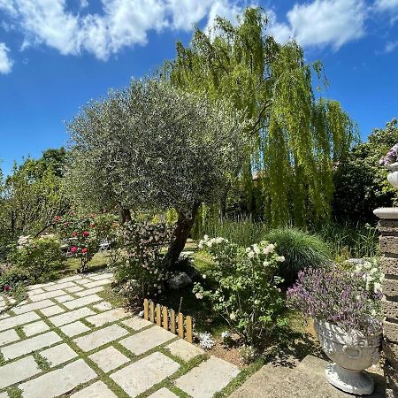 Home Sweet Home Gallicano nel Lazio Экстерьер фото
