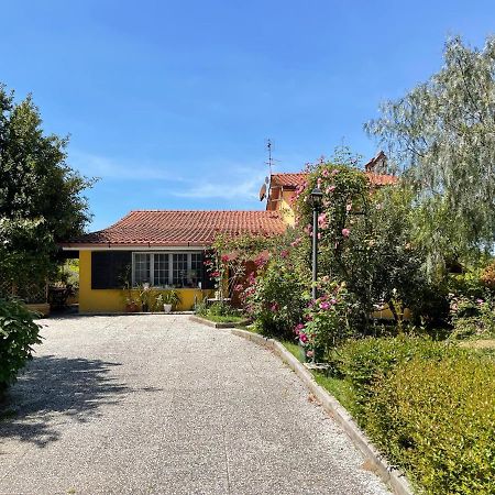 Home Sweet Home Gallicano nel Lazio Экстерьер фото