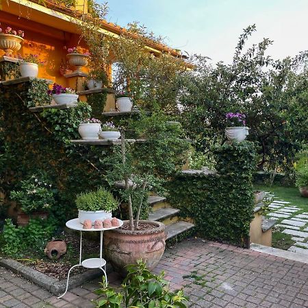 Home Sweet Home Gallicano nel Lazio Экстерьер фото
