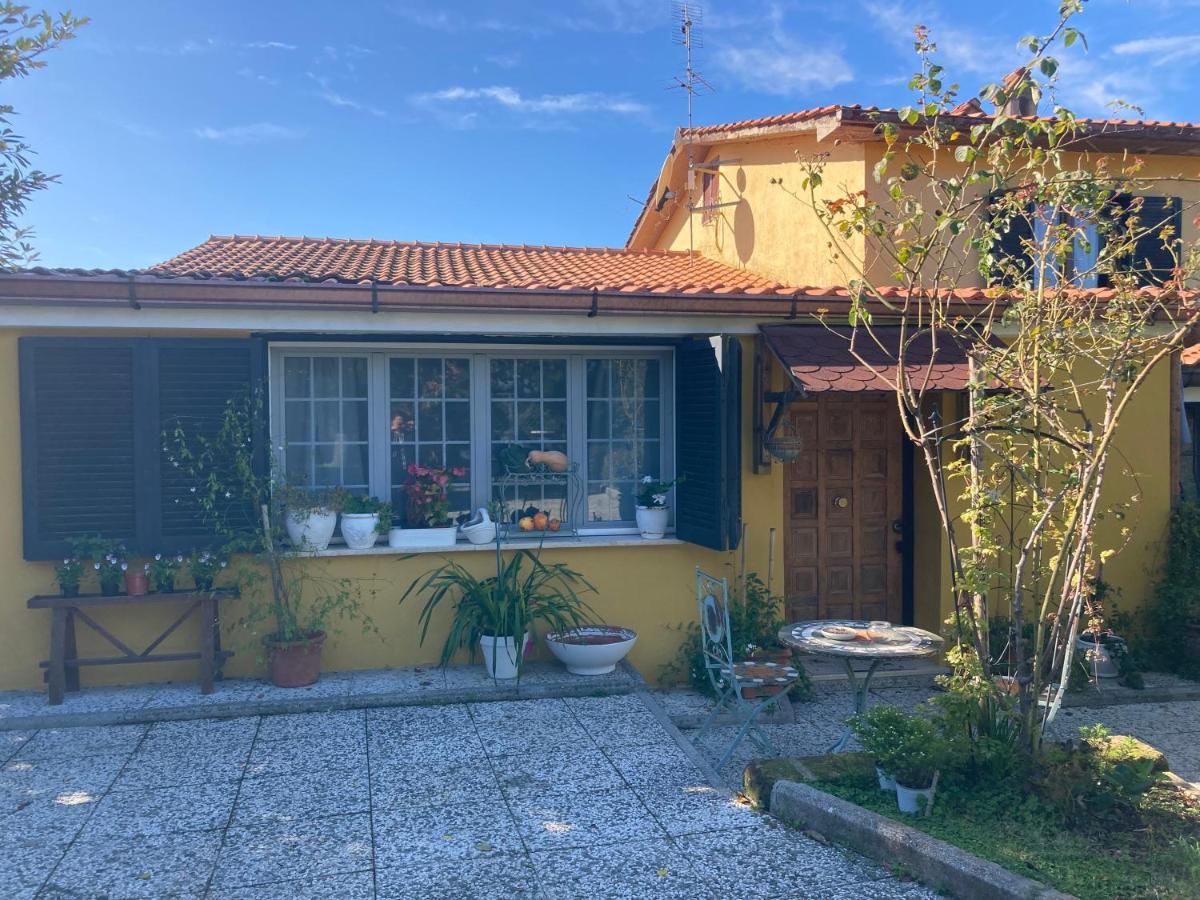 Home Sweet Home Gallicano nel Lazio Экстерьер фото